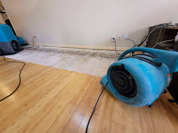 Reliable Basement Flood Cleanup contractor in Colleyville, TX by Hirex Water Damage