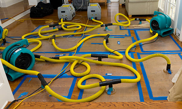 Professional Basement Flood Cleanup technician working in Colleyville, TX